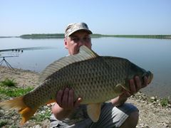 Ilfoveni 27.04.2013